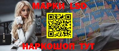 гидропоника Можайск