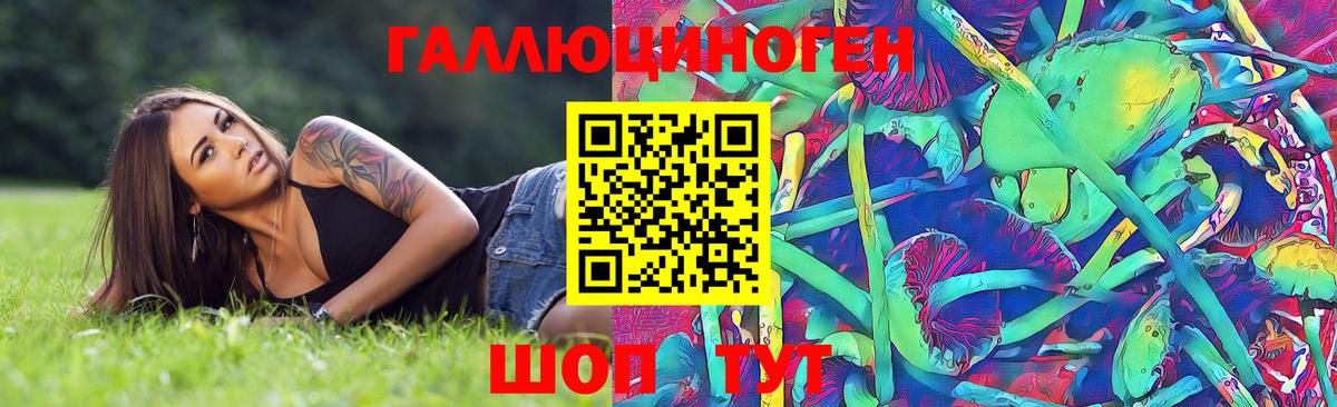 Галлюциногенные грибы Psilocybe  Вход с VPN  Гатчина 